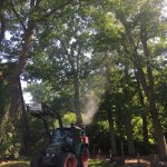 Bek&auml;mpfung Eichenprozessionsspinner (EPS) Raum Gartow 2018