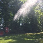 Bek&auml;mpfung Eichenprozessionsspinner (EPS) Raum Gartow 2018