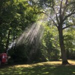 Bek&auml;mpfung Eichenprozessionsspinner (EPS) Raum Gartow 2018